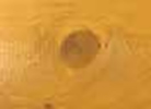 Caramel Wilderness Series Wood Stain Color For Gazebos, Pavilions, & Pergolas